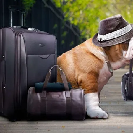 Kyriad 2* شانتييّي